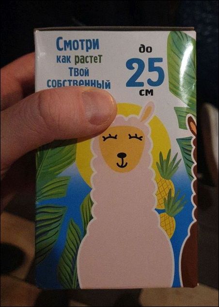 Перлы 10.03.2021