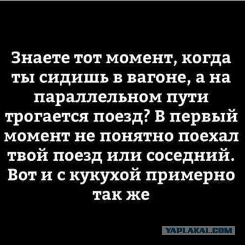Бредзона 30.03.21