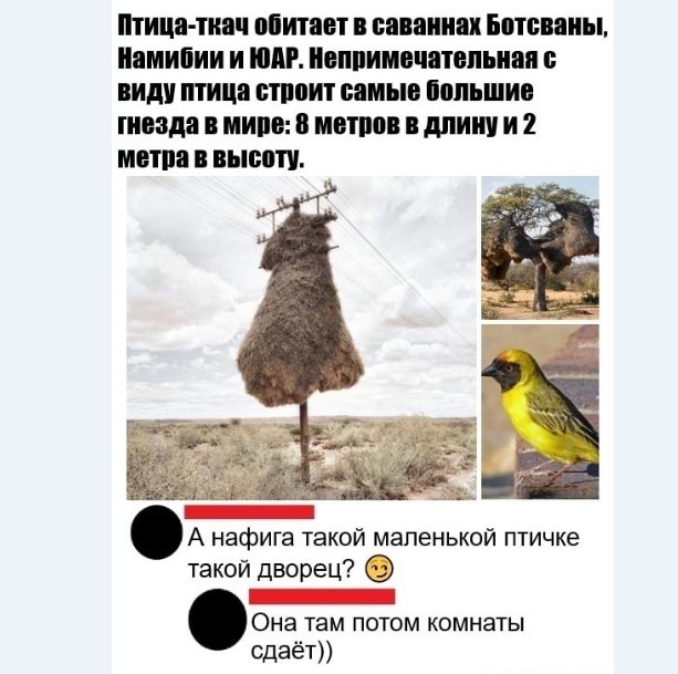 Картинки и мемы для настроения 01.04.2021