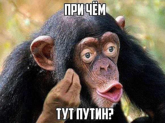 "Вплоть до остановки сердца". Врачи обратились к директору ФСИН: состояние Алексея Навального близко к критическому