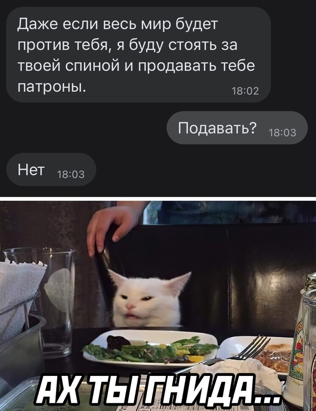 Весёлый полтишок 23.05