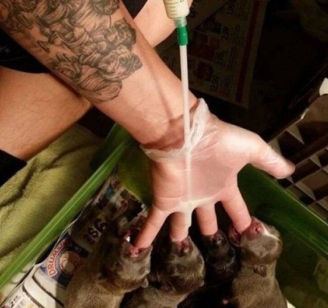 Картинки к пьятнице