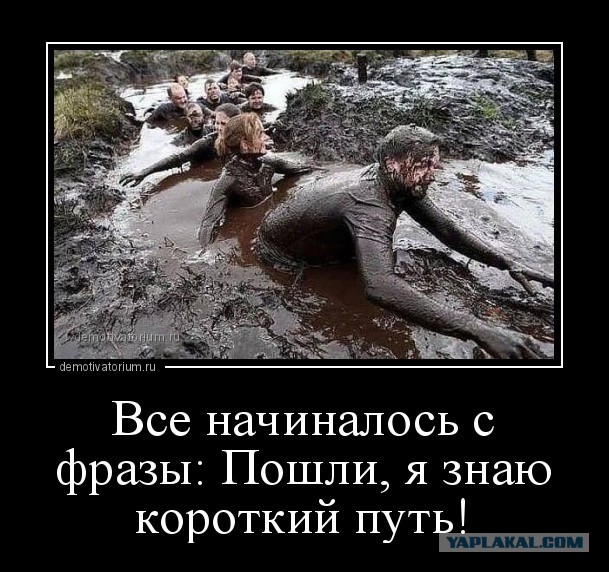 Опять развод