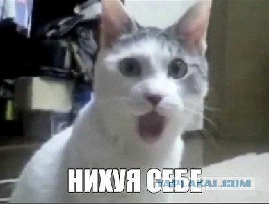 Ну навигатор же сказал: «Повернуть направо»