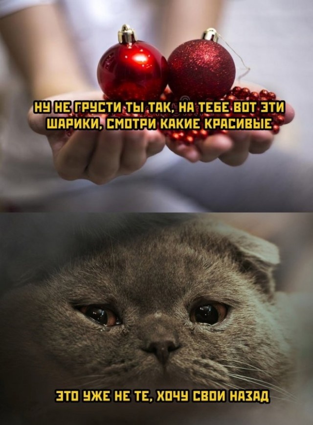 Смешные комментарии из социальных сетей 31.12.21