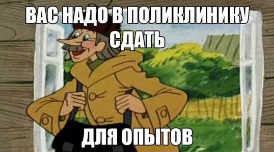 В Питере *овно