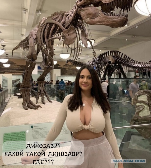 Просто картинки