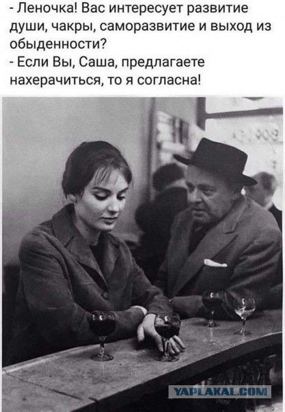 Весёлый полтишок 23.03.22