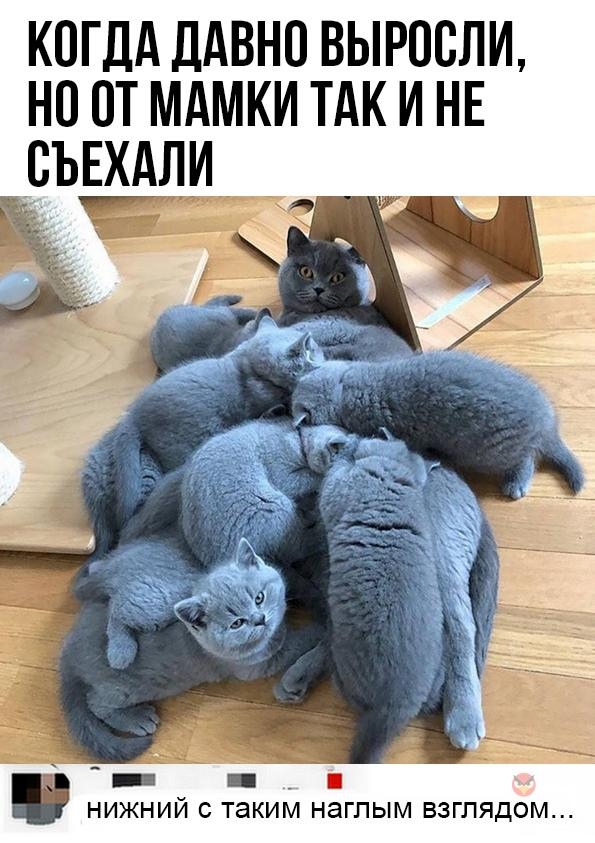 Так себе картинки 20.05.22