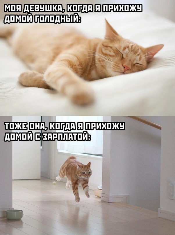 Картинки и мемы для настроения - 31