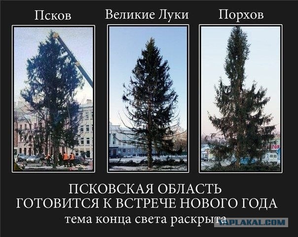 На Алтае поставили облезлую новогоднюю ель. Жители Заринска философски решили, что «какой год, такая и ёлка»