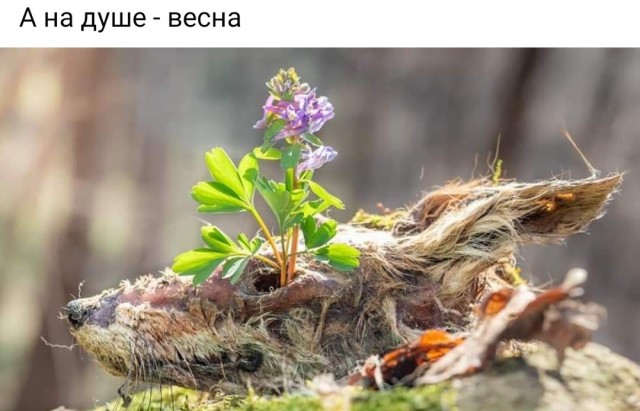 Так себе картинки 22.01.23