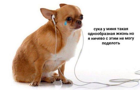 Немного мемчиков. Для взрослых. Часть 29