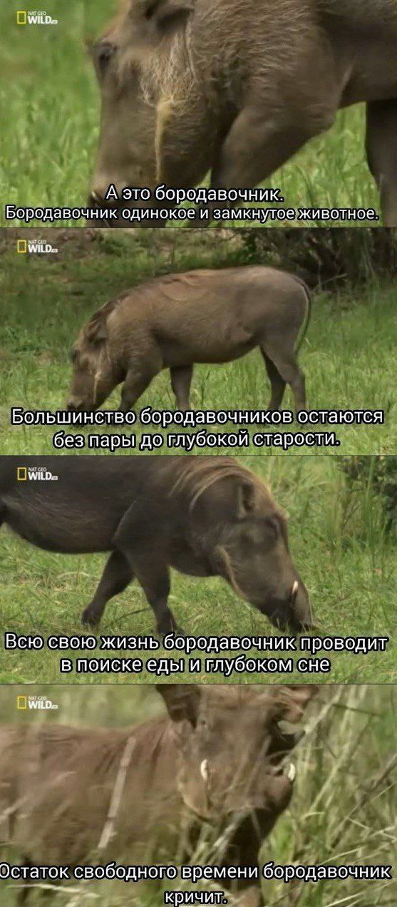 Я ненастоящий мужчина. И мне это нравится
