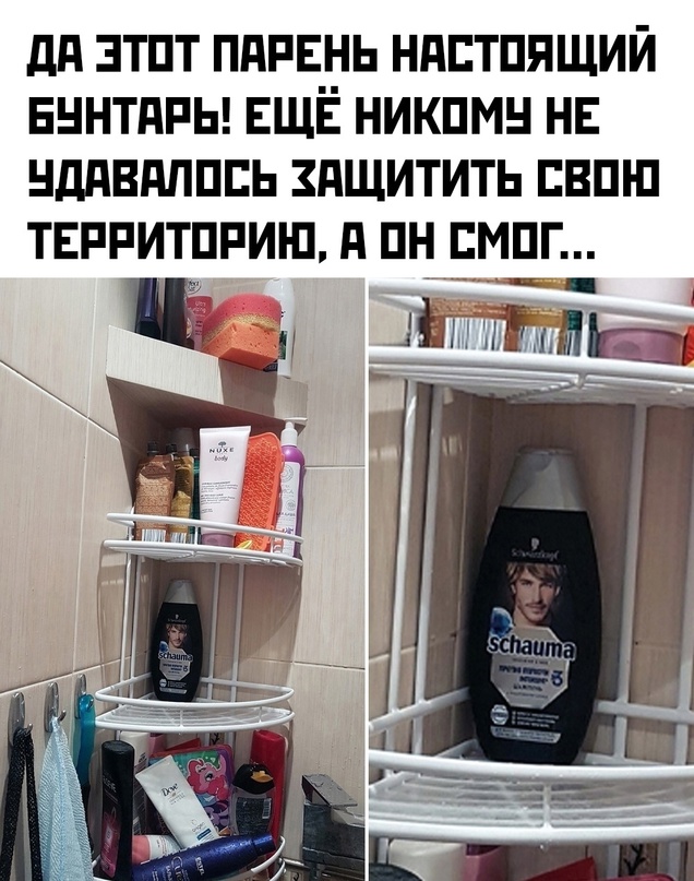 Картинки и мемы для настроения - 187