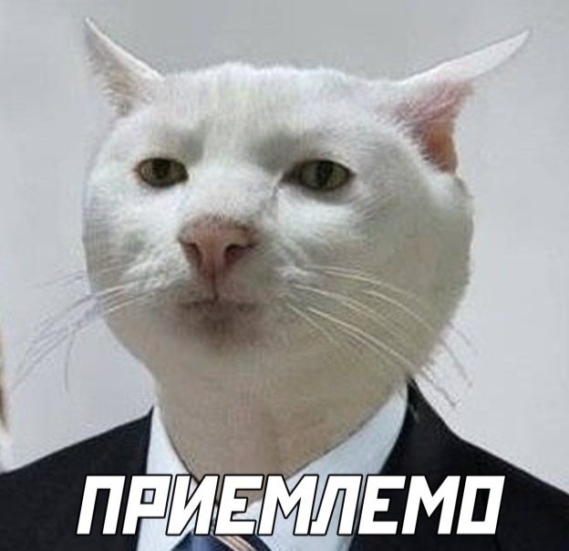Лето наступило