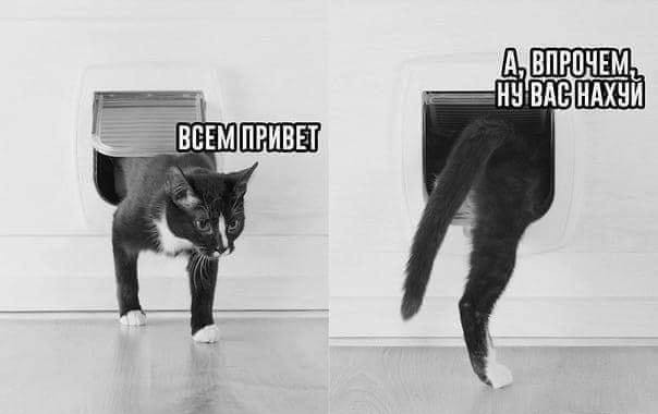Побег из военкомата Мукачево