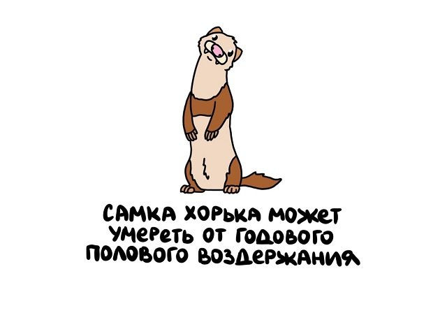 Баба хочет и баста!
