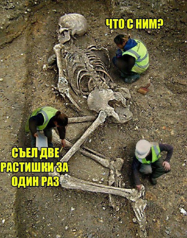 Весёлый полтишок 02.04.24