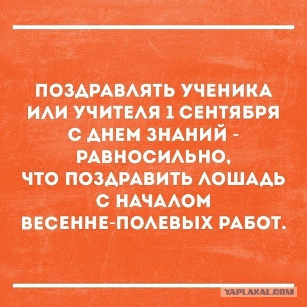 Немного наркомании и шизофрении в ленту