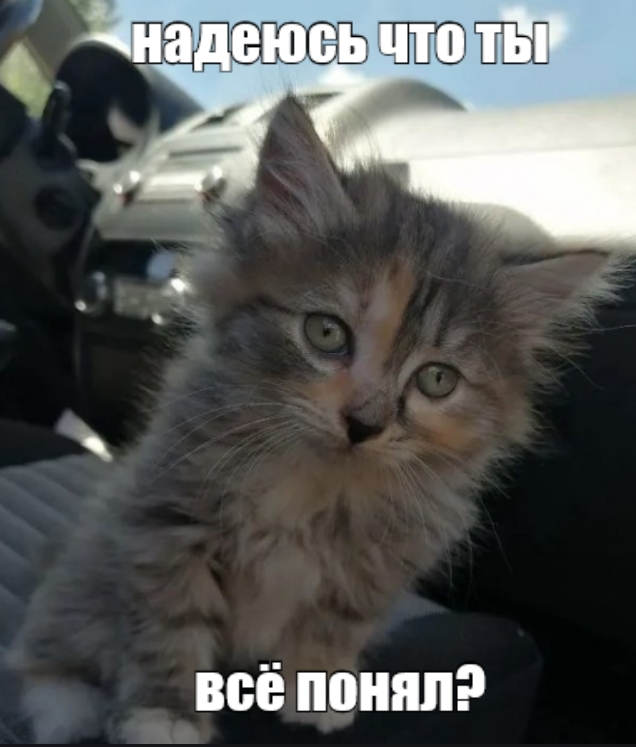 Встречайте пополнение!