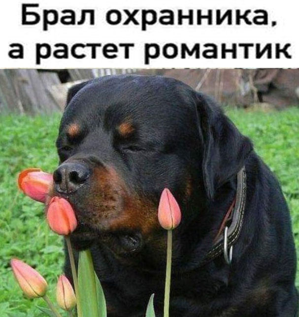 Так себе картинки 13.07.24