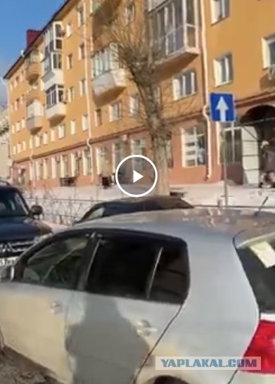 Упёртая дамочка