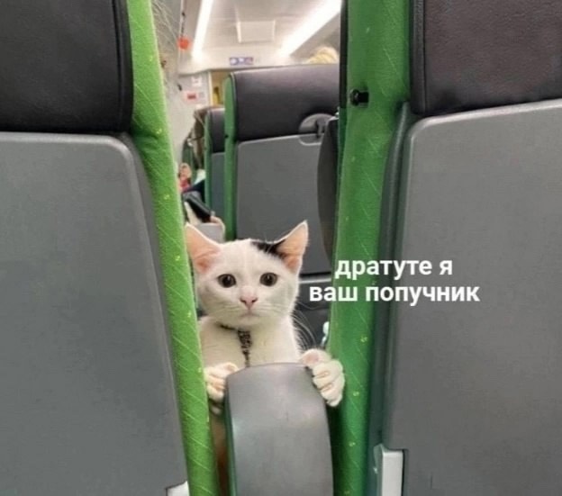 Здрасьте… я ваш попучник