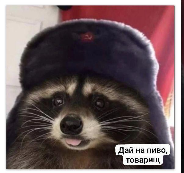 Картинки для деградации 62 (разной степени свежести)