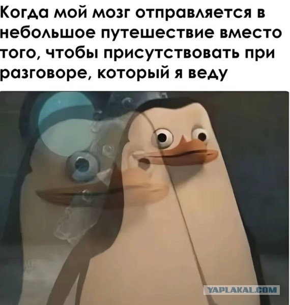 Забавные картинки, шутки из этих ваших интернетов