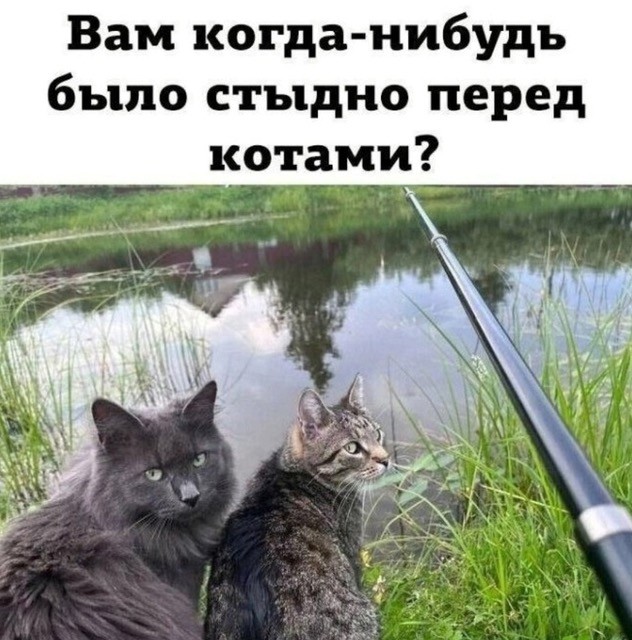 Субботние картинки