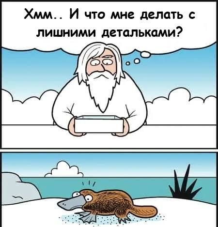 Утконосы