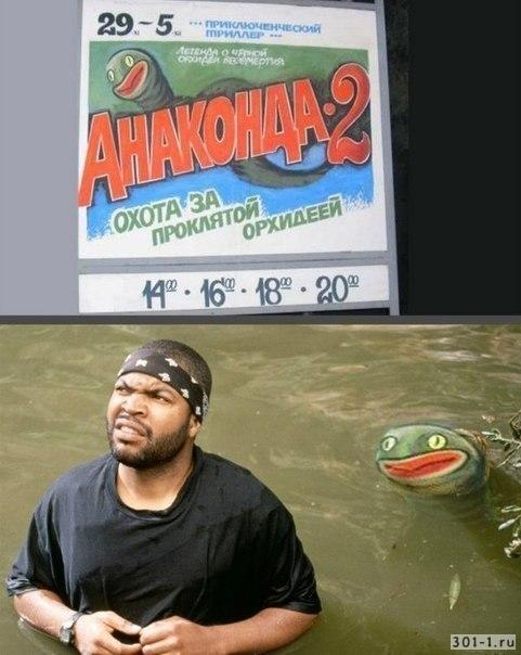 5 фактов об анаконде, которые ломают ваши шаблоны об этой змее