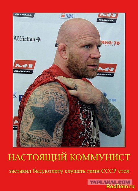 БОКС/MMA....