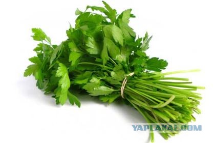 Король ужасов.