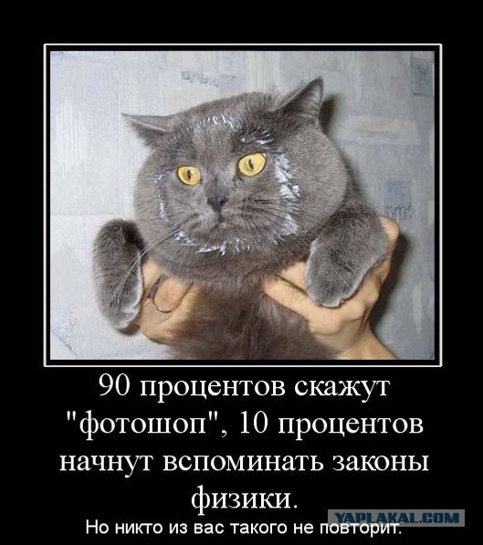 Унываторы (19 фото)