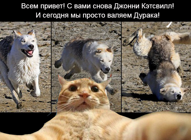Шлёп