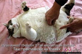 Станем спортивней к лету!