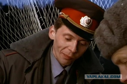Любимая киноеда