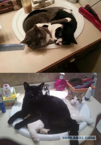 Давай к нам.