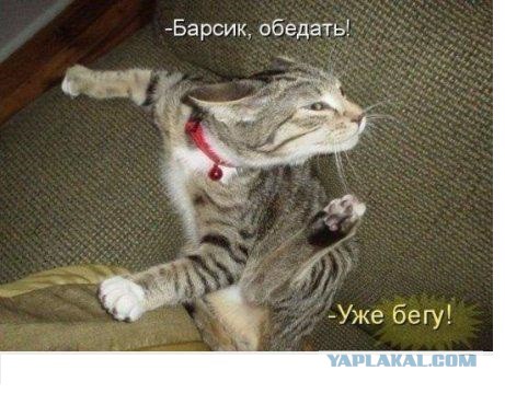 Позитивные картинки