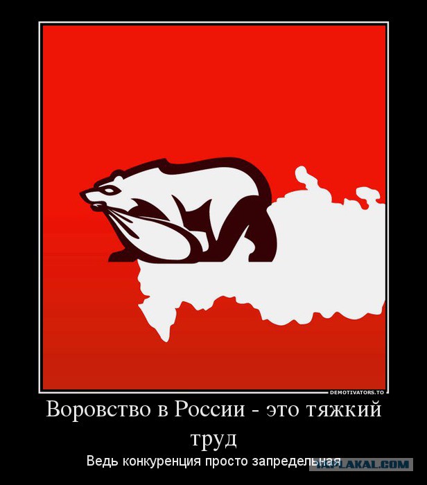 Липецк,что они там курят?