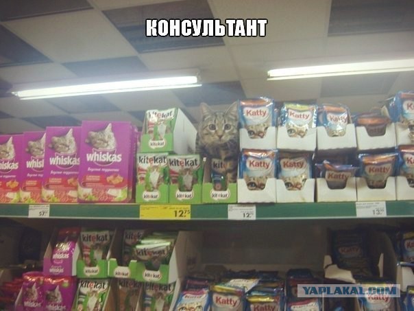 Обслуживание клиентов любого социального класса