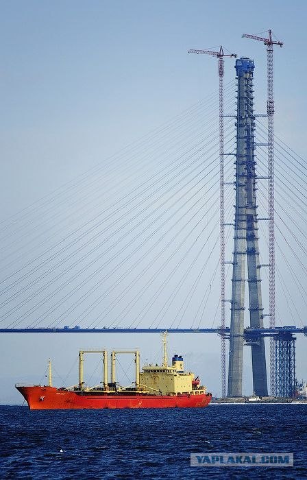 Отечественный мост во Владивостоке
