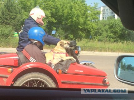 Разные разности с телефона