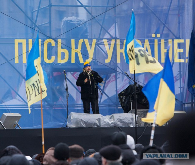 Это они выскакали десятки тысяч трупов