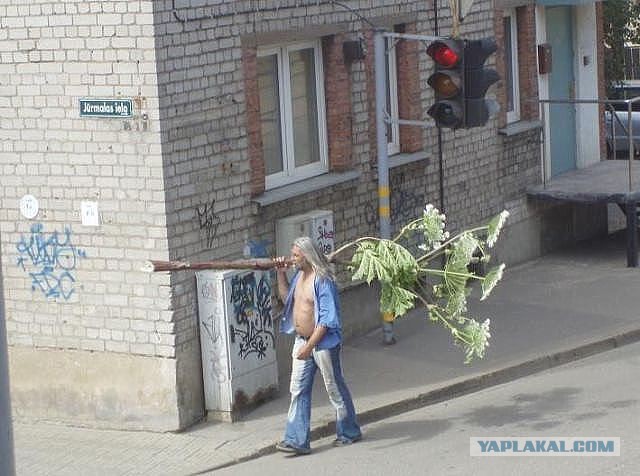 С международным вас женским днём.....