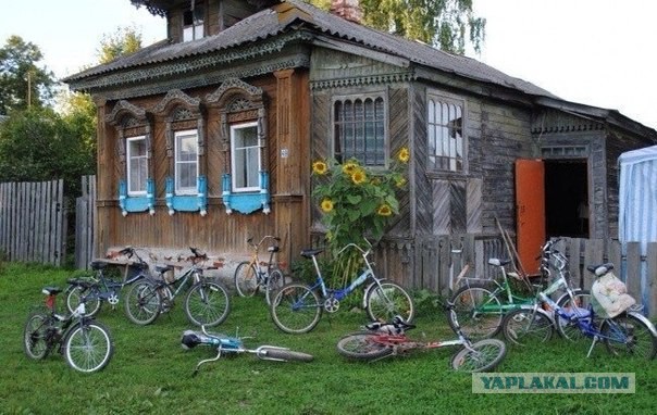 Картинки из сети на среду