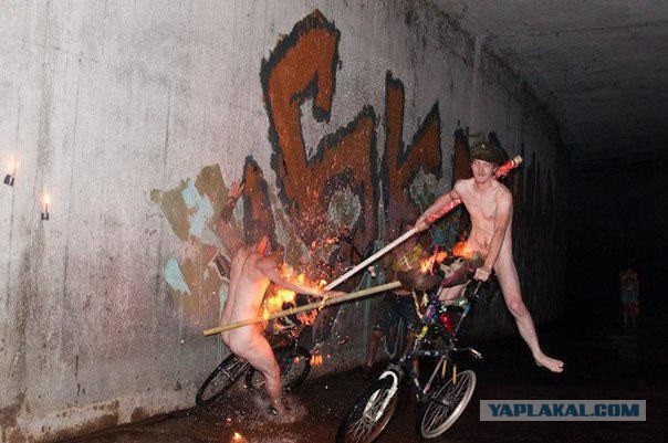 Прикольные картиночки
