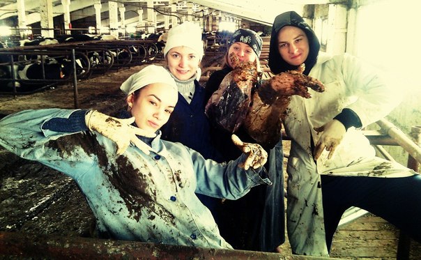 Ужасы и приколы из соцсетей 18+